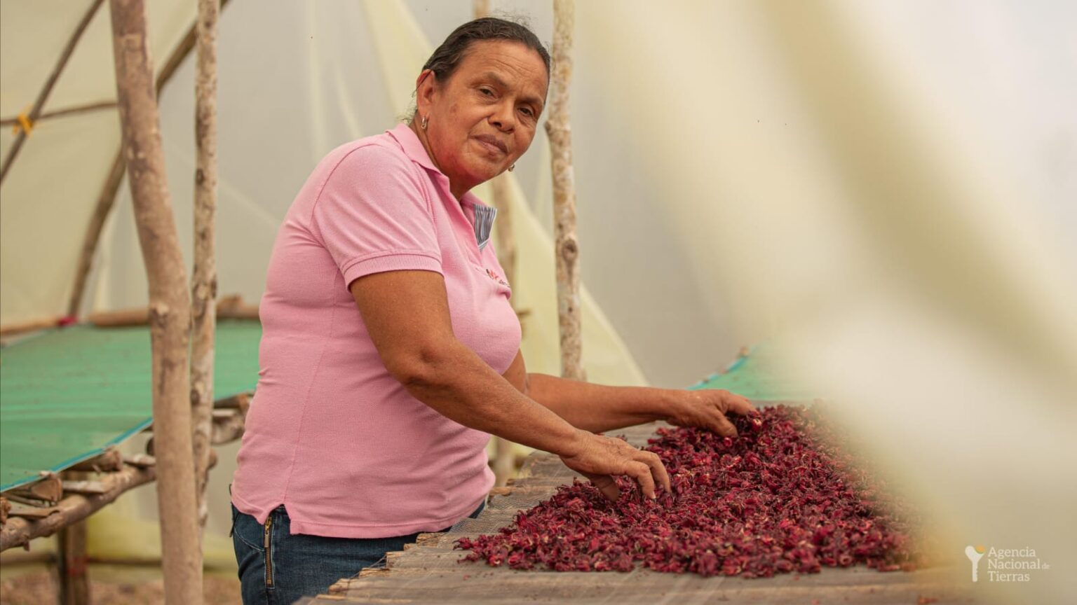 Mujer campesina haciendo sus labores del campo.
