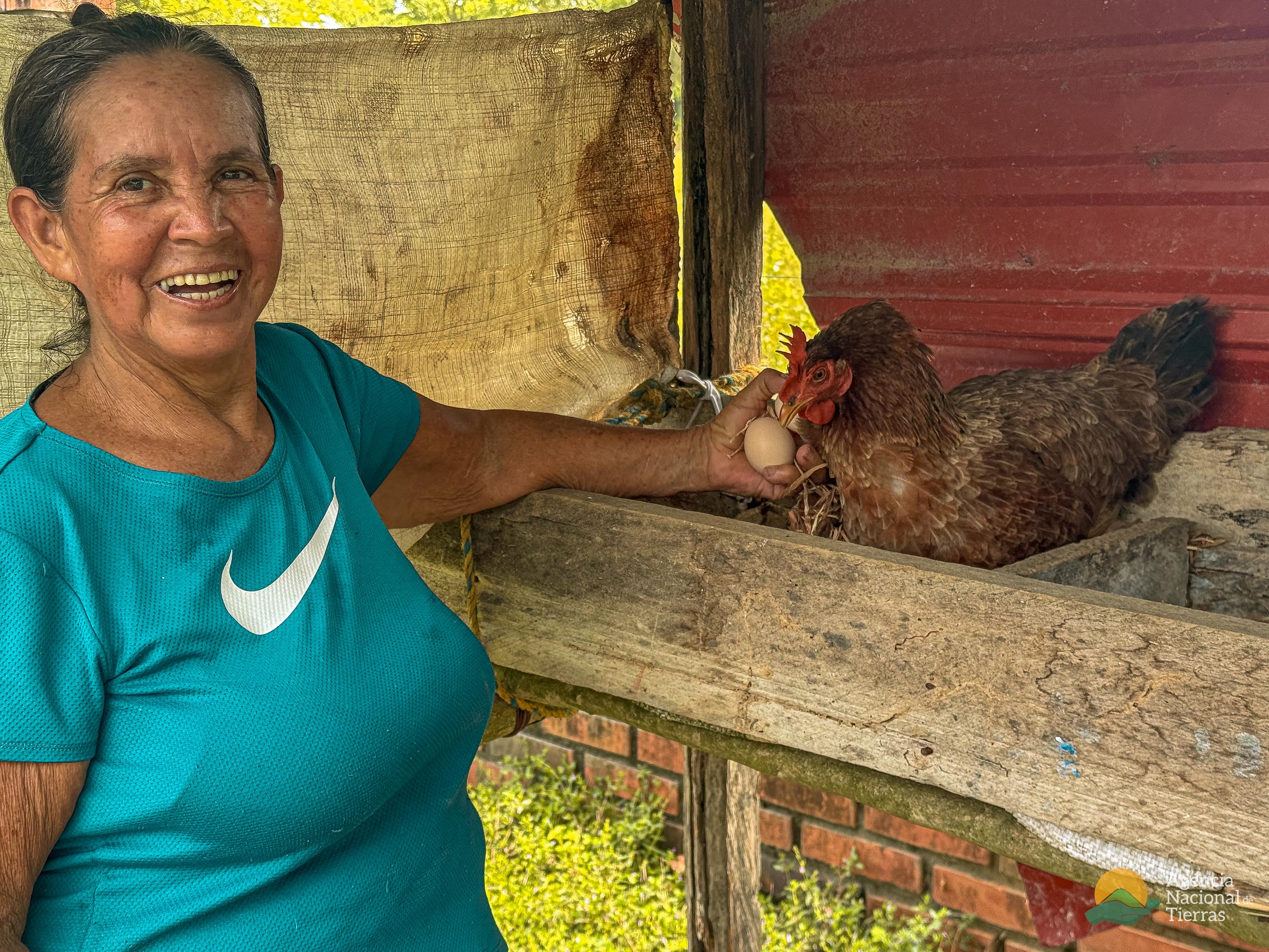 una-mujer-sosteniendo-un-pollo-en-una-caja