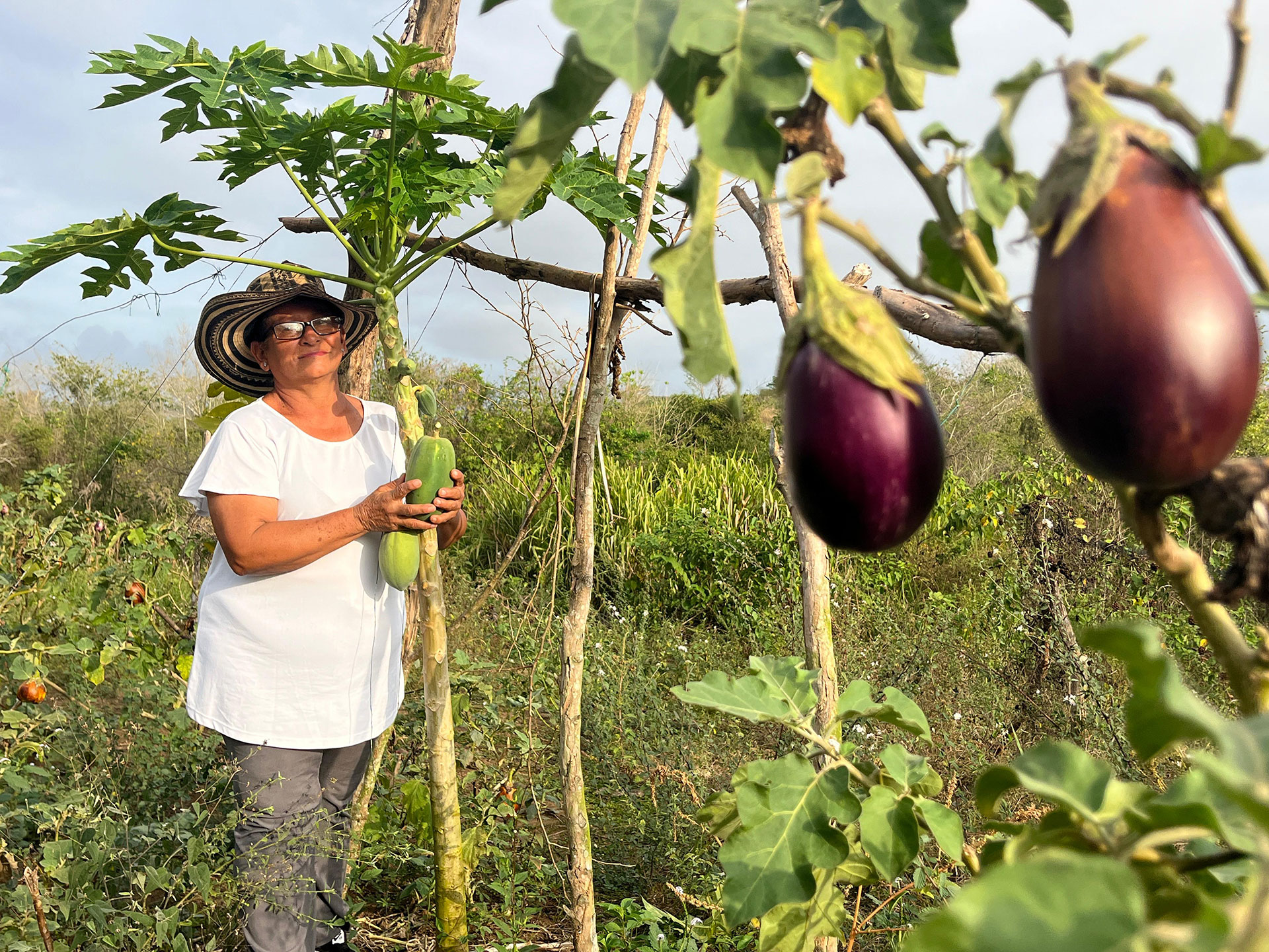Imagen de Nelly viendo su cultivo de berenjenas.
