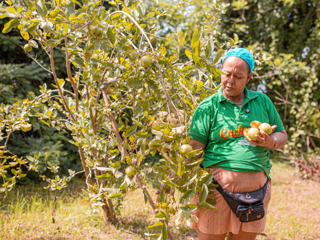 una-mujer-con-una-camisa-verde-sosteniendo-un-monton-de-frutas