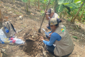 tres-personas-estan-plantando-arboles-en-el-campo