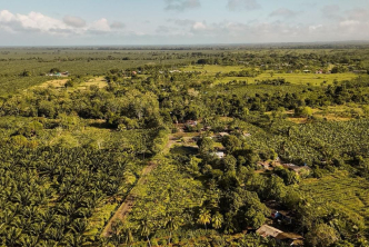 Imagen panoramica de un paisaje hace referencia al articulo: En operativos contra la tenencia ilegal de tierras, ANT recupera 2.965 hectáreas en Antioquia, Tolima y Meta