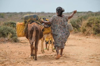 ANT delimita Territorio Indígena de la Zona Norte Extrema de la Alta Guajira – WUINPUMÜIN