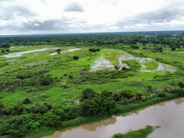 12 familias campesinas de Bolívar cultivan en un playón comunal