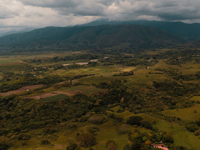 Fotografía aérea de un gran terreno con árboles y algunas casas.