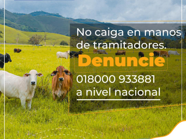 Anuncio informativo sobre una fotografía de ganado de color café, blanco y negro, el cual está sobre pasto muy verde y de fondo montañas verdes  y cielo nublado. El anuncio contiene el mensaje: NO CAIGAS EN MANOS DE TRAMITADORES. DENUNCIE 018000933881 A NIVEL NACIONAL.