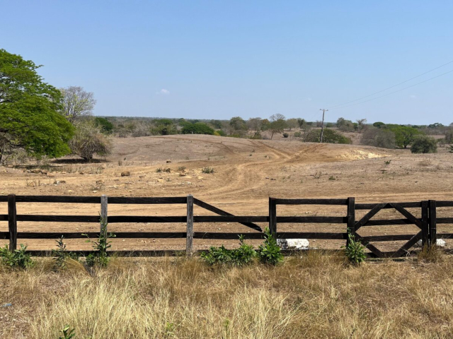 Terreno en el Cesar.