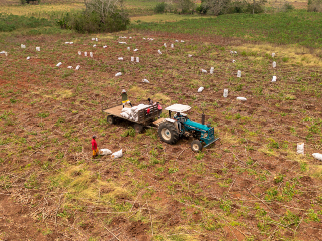 Fotografía de un predio y algunos trabajadores allí.