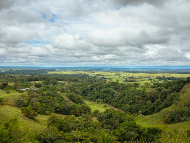 Panorama de montañas majestuosas, con árboles verdes que cubren su laderas y nubes blancas que flotan suavemente en el cielo azul.