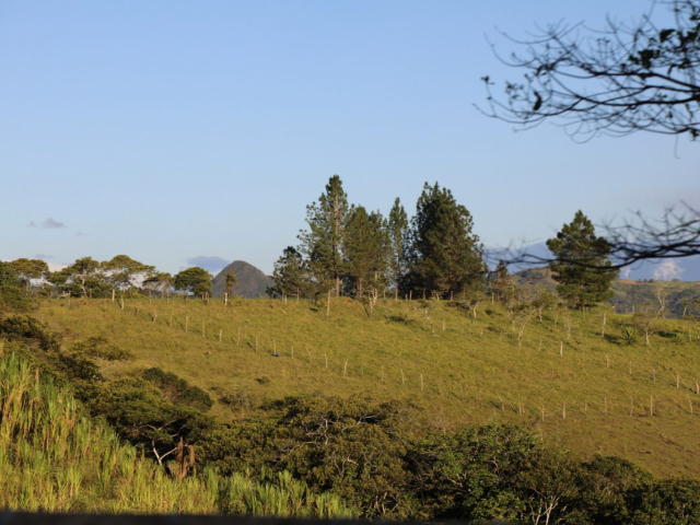 Fotografía de un terreno con zonas verdes y árboles.