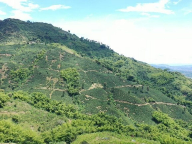 Fotografía del cerro de una montaña.