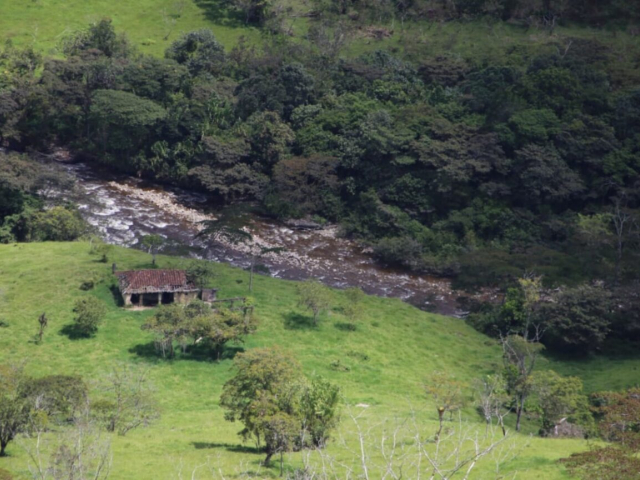 Fotografía de un terreno con árboles y montañas 