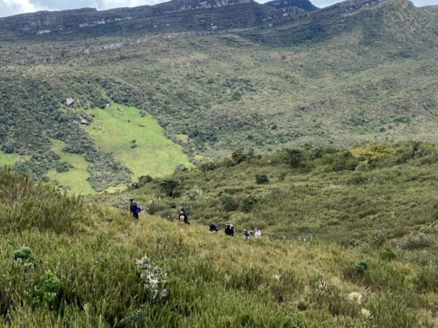 Fotografía de un terreno de montañas y árboles en Zonas de Reserva Forestal