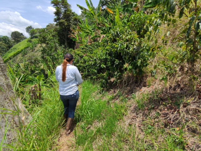 Mujer en un terreno verde del departamento de Caldas