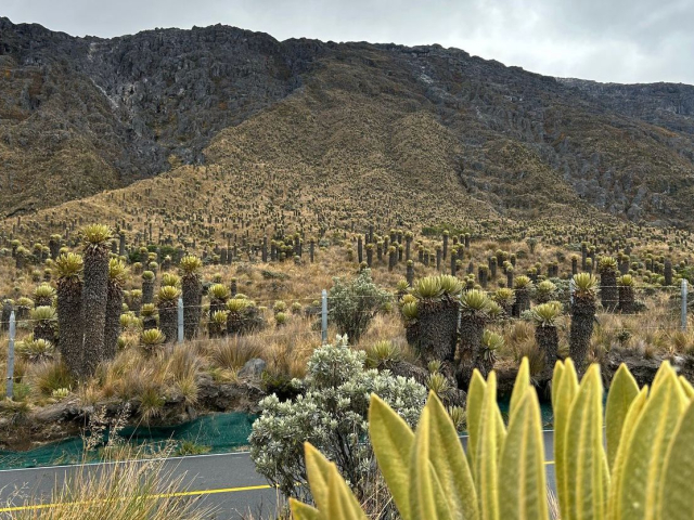 parque-nacional-natural-los-nevados