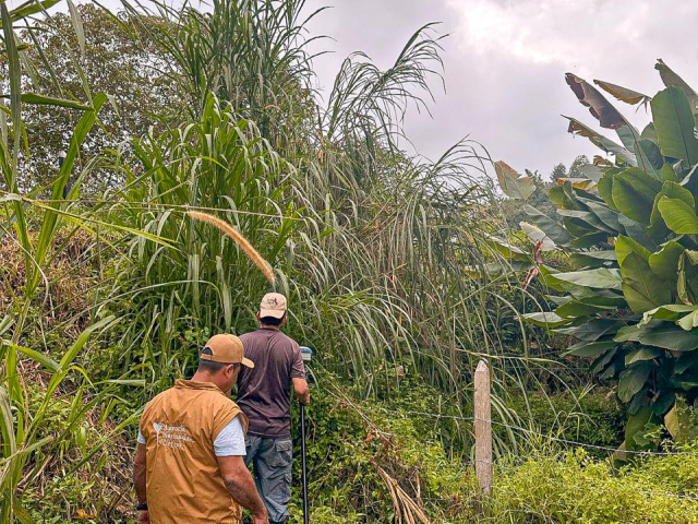 funcionarios-ant-verificando-uso-productivo-de-predios