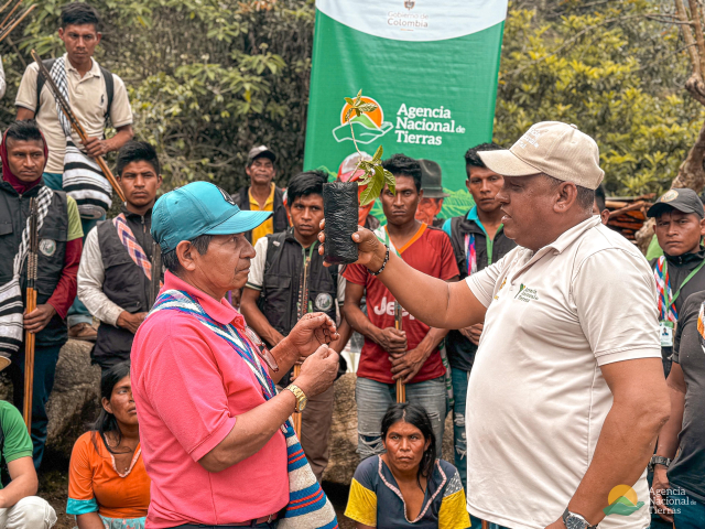 un-hombre-que-le-da-una-planta-a-una-mujer