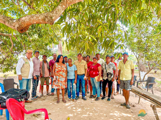 un-grupo-de-personas-parados-debajo-de-un-arbol