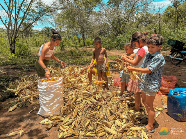 ninos-en-medio-del-campo-desgranando-mazorcas