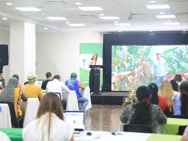 Mujer en el atril presentando ante un auditorio.