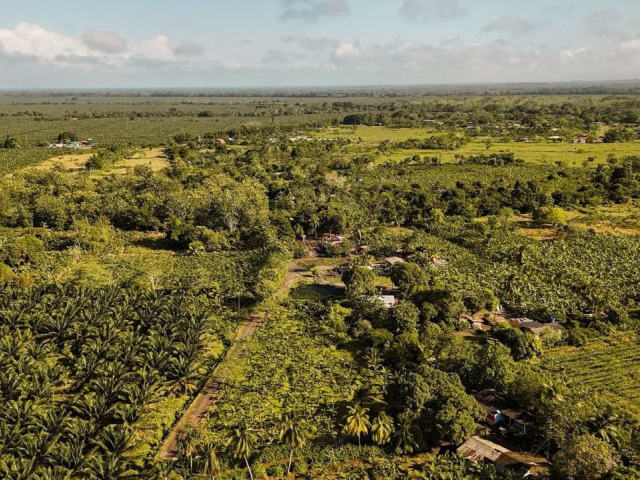 Imagen panoramica de un paisaje hace referencia al articulo: En operativos contra la tenencia ilegal de tierras, ANT recupera 2.965 hectáreas en Antioquia, Tolima y Meta