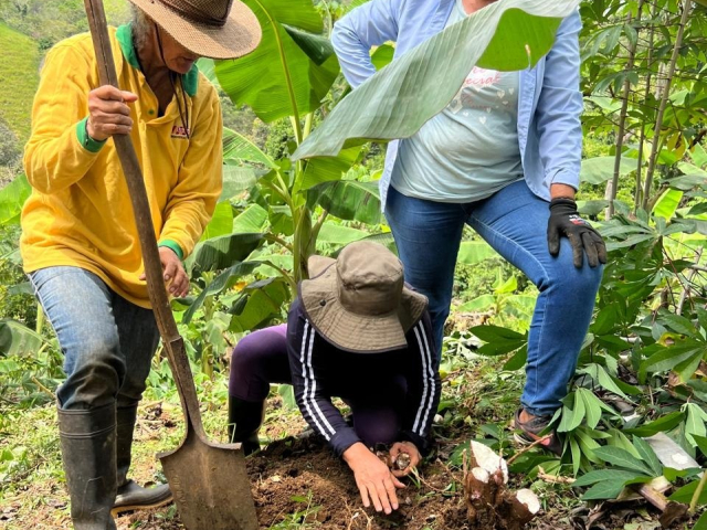 Mujeres rurales de Puerto Triunfo, Antioquia, transforman 115 hectáreas de la Reforma Agraria  en soberanía alimentaria