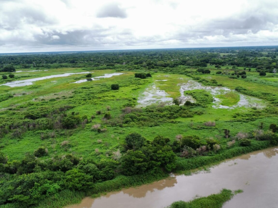 12 familias campesinas de Bolívar cultivan en un playón comunal