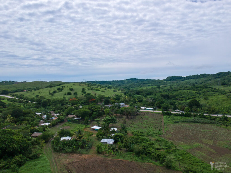 ENTREGA 2000 HECTÁREAS SAN JUAN NEPOMUCENO_DANIEL CASTAÑO ANT-09