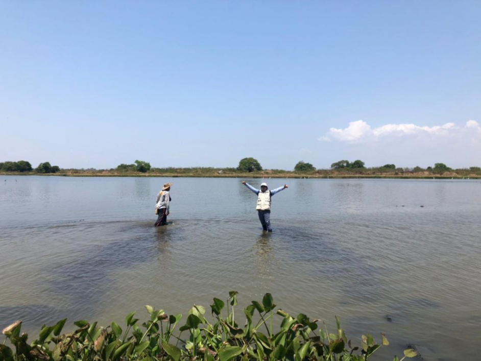 Personas navegando en la ciénaga.