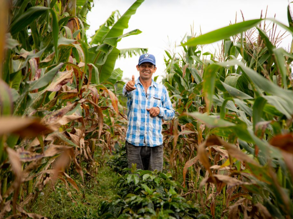 Campesino entre cosechas.