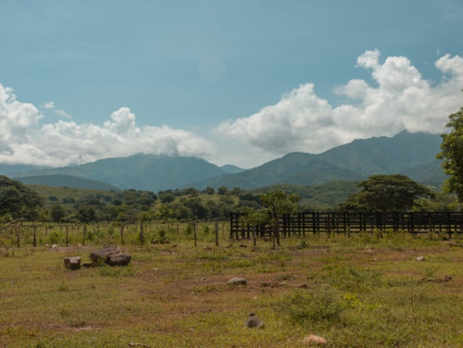 Fotografía de un terreno con zonas verdes y árboles en La Guajira.