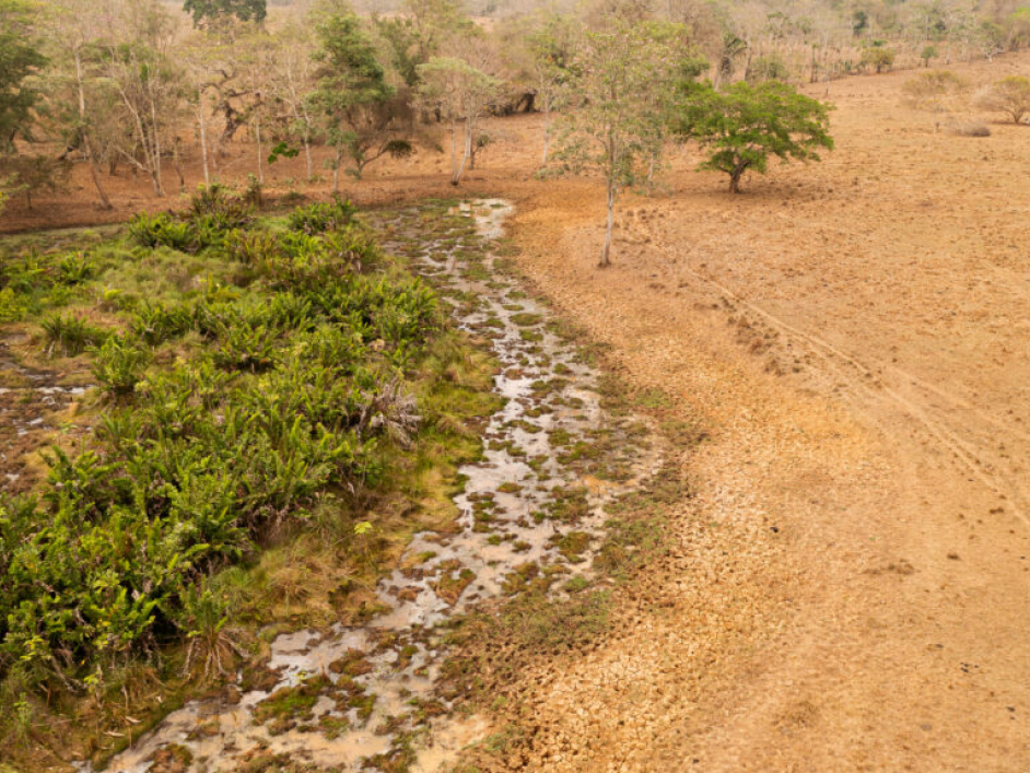 Predio La concordancia