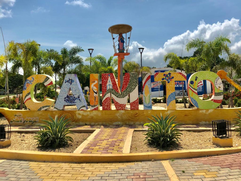 Palabra caimito en parque