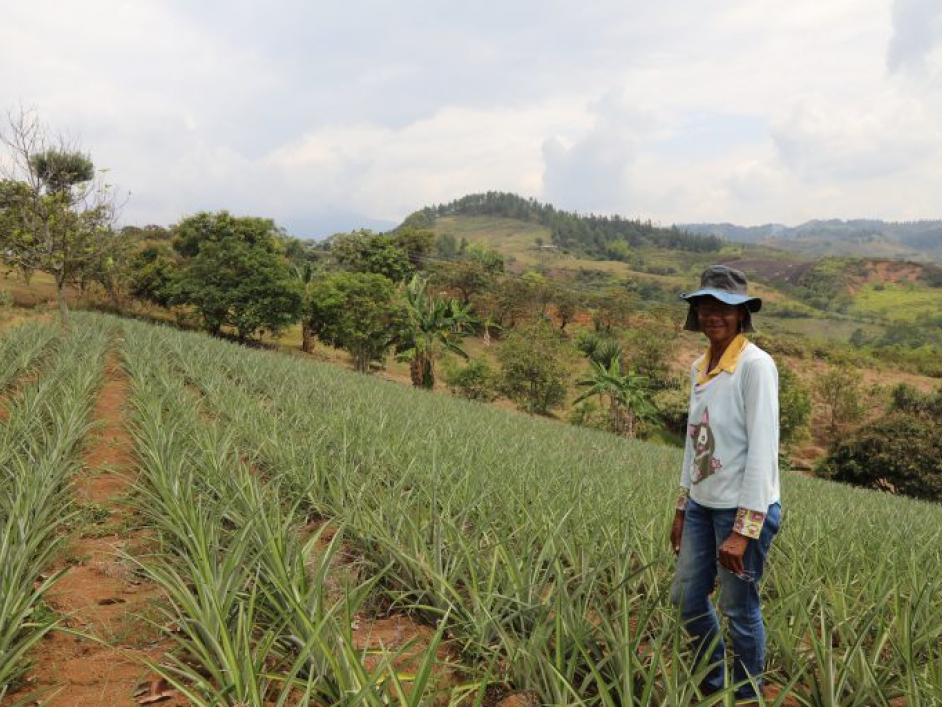 Hombre en un terreno de cosecha.