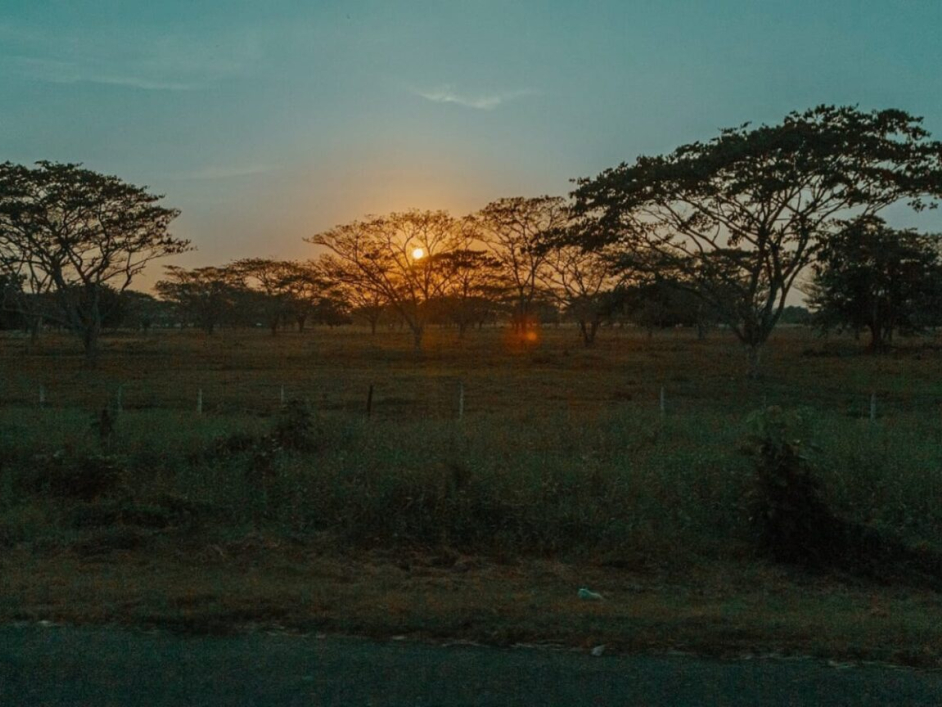Fotografía de un terreno con árboles y un atardecer detrás.