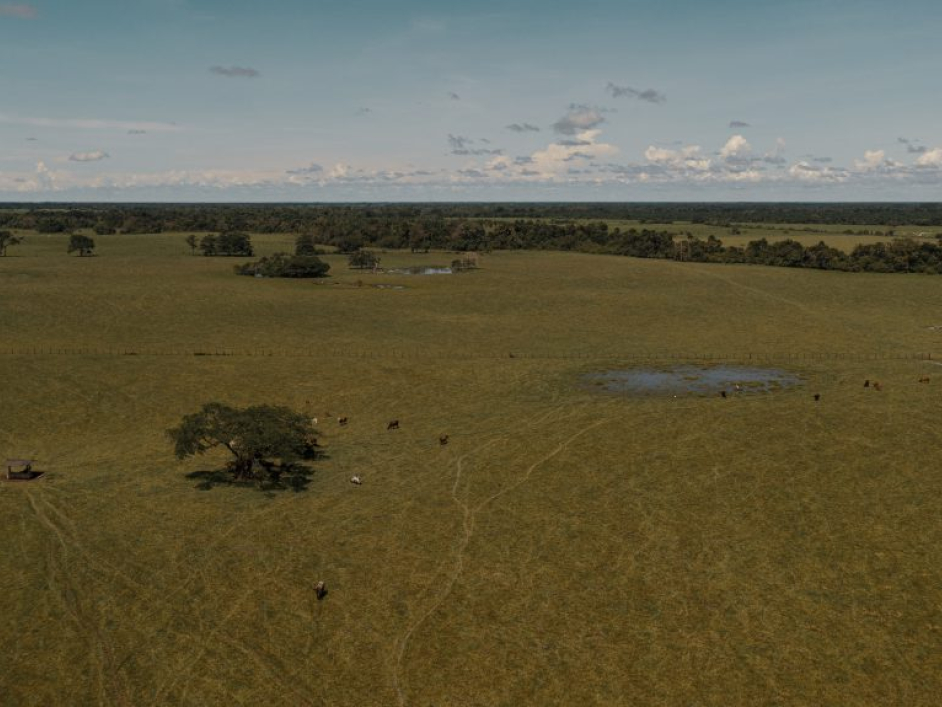 Fotografía aérea del Predio Berlin.
