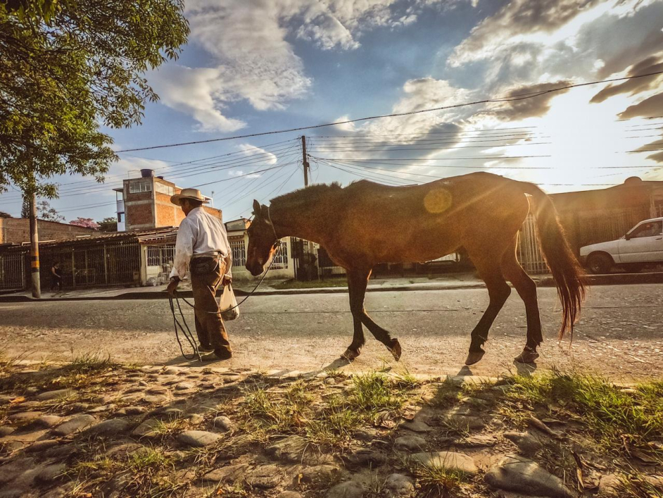 Hombre campesino con sombrero y carriel, lleva de una cuerda a un caballo, esto sobre una vía pavimentada. De fondo hay varias casas, un vehículo y el cielo azul, sol brillante y nubes blancas.
