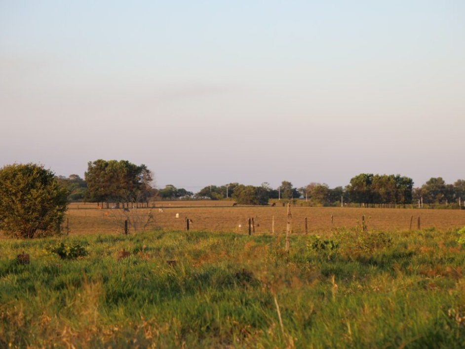 Terreno con zonas verdes y árboles en San Martín, Meta.