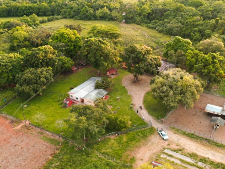 Fotografía aérea de un terreno con árboles y algunas casas.