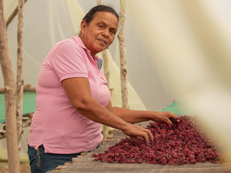 Mujer campesina haciendo sus labores del campo.