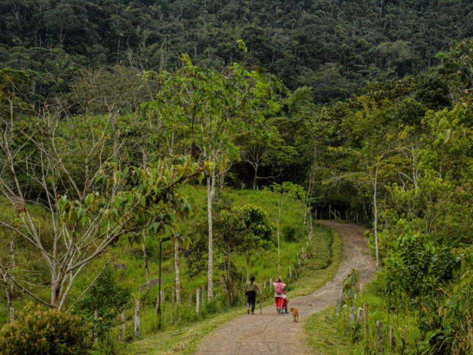 Terreno con una vía, árboles alrededor y a lo lejos una mujer y sus hijos caminando.