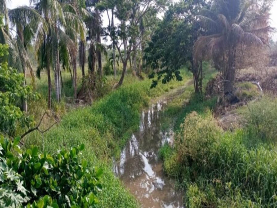 Fotografía del Humedal Furatena.