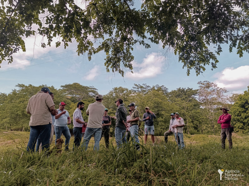 Grupo de personas reunidas en el campo