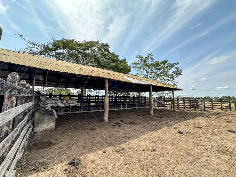 exsenador-oferto-predio-en-sucre