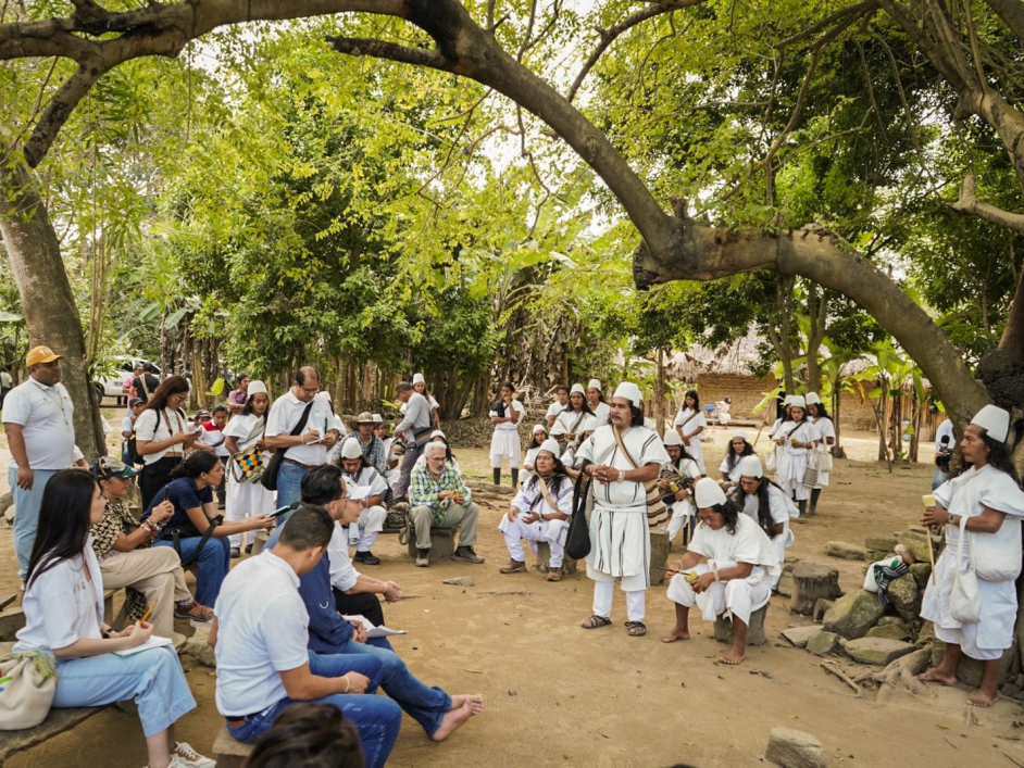 tras-años-de-lucha-la-tierra-vuelve-a-sus-guardianes-indigenas-en-la-sierra-nevada