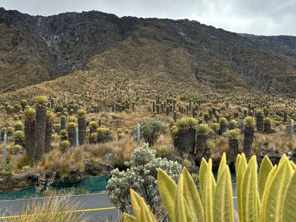 parque-nacional-natural-los-nevados