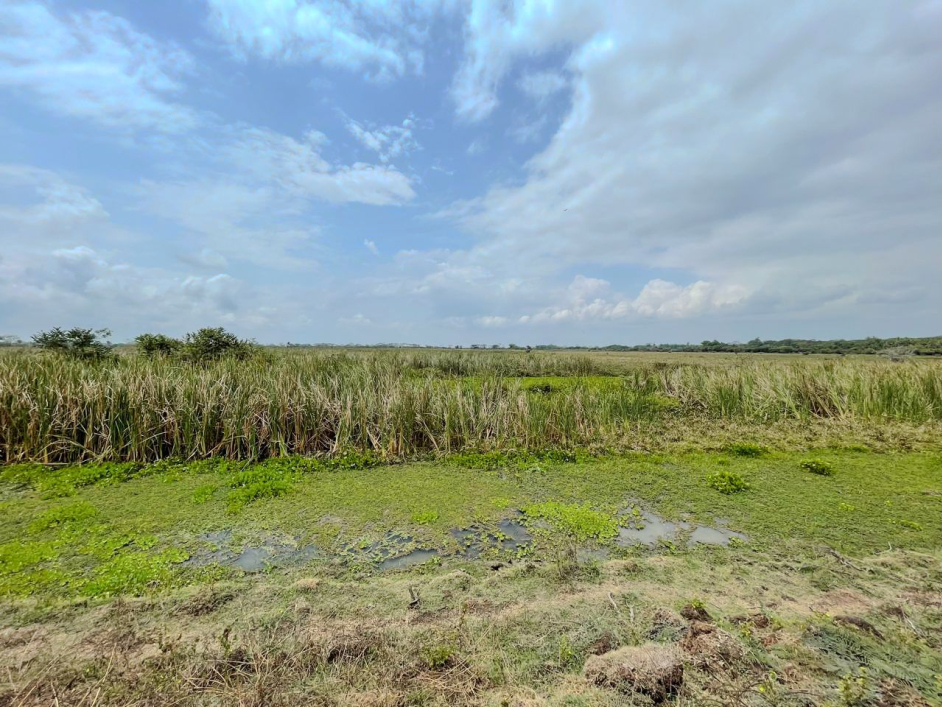 visita-tecnica-en-cesar