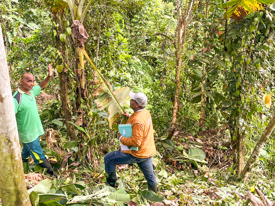 dos-hombres-estn-parados-en-medio-de-una-jungla