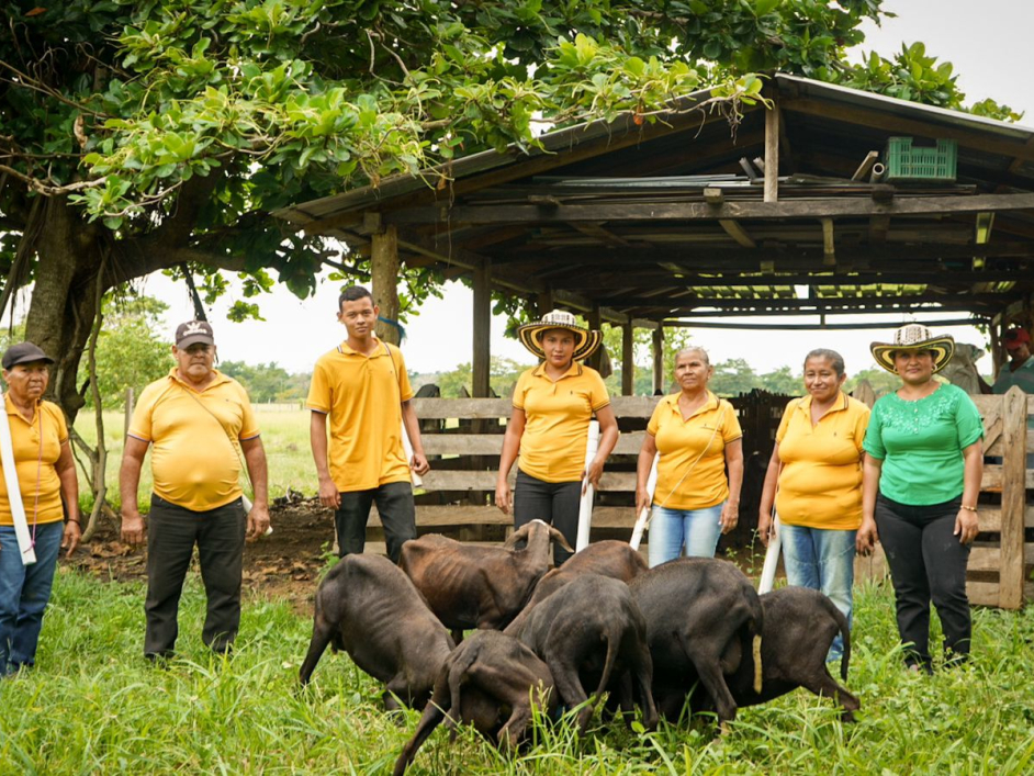 un-grupo-de-personas-con-camisas-amarillas-de-pie-alrededor-de-un-grupo