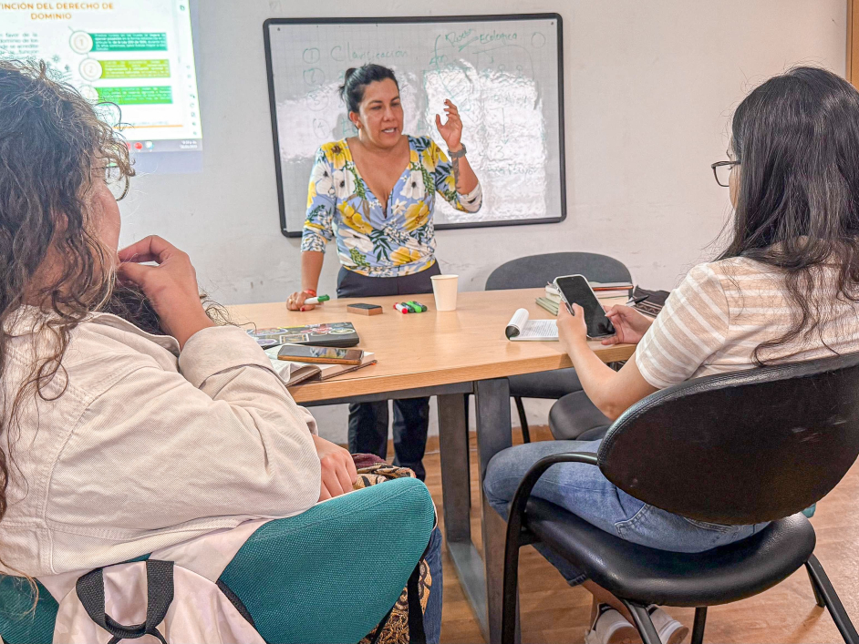 una-funcionaria-esta-dando-una-presentacin-a-un-grupo-de-personas